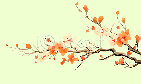 우아함 사람없음 PSD 일러스트 꽃봉오리 나뭇가지 나뭇잎 매화 백그라운드 봄 유화 페인팅