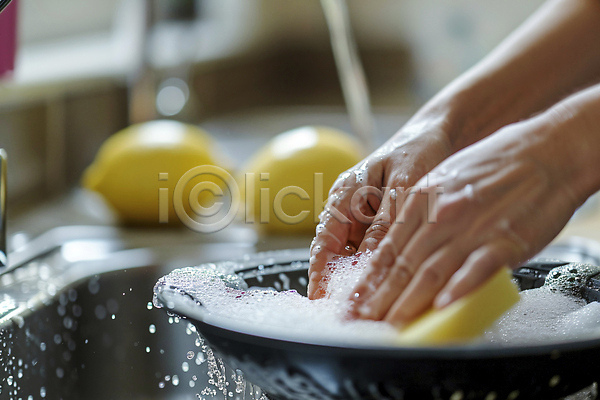 깨끗함 신체부위 JPG 편집이미지 가사 거품 그릇 레몬 물 설거지 손 수세미 스펀지 싱크대 청결