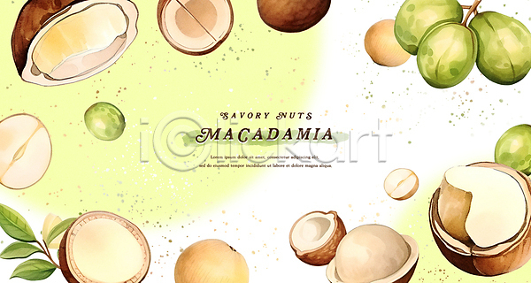 사람없음 PSD 일러스트 건강 껍질 마카다미아 백그라운드 수채화(물감) 연두색 열매 웰빙음식 잎 프레임