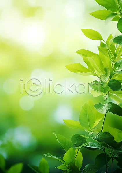 사람없음 JPG 근접촬영 편집이미지 나뭇가지 백그라운드 보케 봄 생명 생태계 에코 잎 자연 초록색 환경