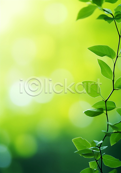 사람없음 JPG 근접촬영 편집이미지 나뭇가지 백그라운드 보케 봄 생명 생태계 에코 잎 자연 초록색 환경