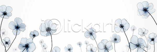 우아함 사람없음 JPG 디지털합성 편집이미지 꽃 미니멀 백그라운드 심플 장식 조화 편집소스 흰색