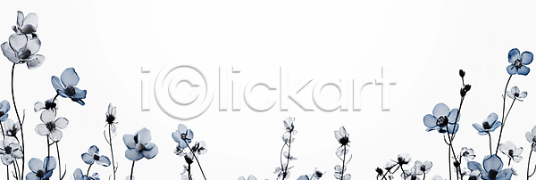 우아함 사람없음 JPG 디지털합성 편집이미지 꽃 미니멀 백그라운드 심플 장식 조화 편집소스 흰색