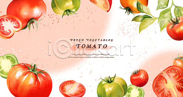 신선 사람없음 PSD 일러스트 백그라운드 빨간색 수채화(물감) 웰빙 카피스페이스 토마토 프레임