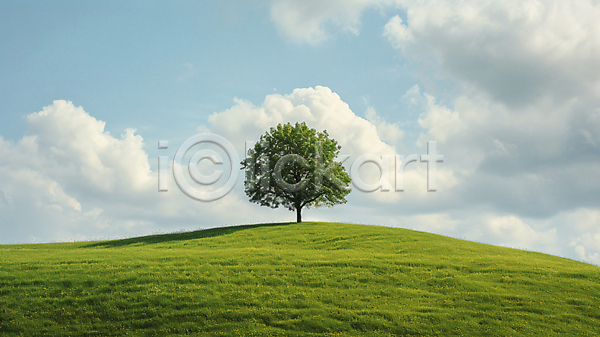 편안함 사람없음 JPG 디지털합성 편집이미지 구름(자연) 나무 배경화면 자연 초원(자연) 풍경(경치) 하늘