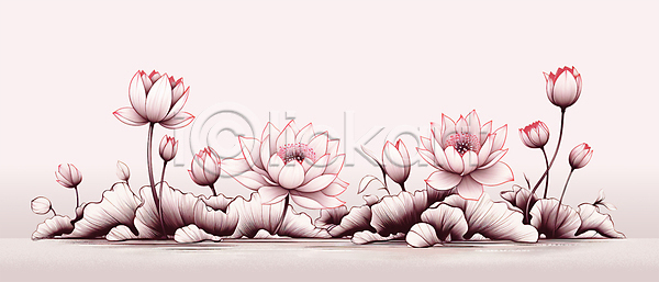 사람없음 PSD 일러스트 분홍색 수면 식물 연꽃(꽃) 연잎