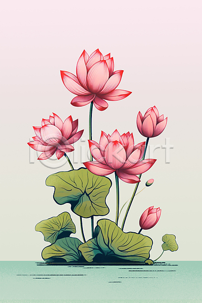 사람없음 PSD 일러스트 분홍색 수면 식물 연꽃(꽃) 연잎
