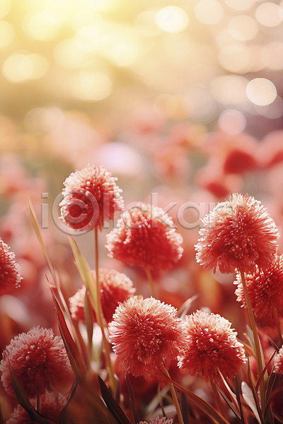 사람없음 JPG 디지털합성 편집이미지 꽃 백그라운드 보케 봄 분홍색 자연