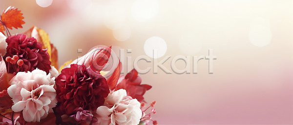 사람없음 JPG 디지털합성 편집이미지 꽃 백그라운드 보케 봄 분홍색 자연