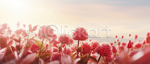 사람없음 JPG 디지털합성 편집이미지 꽃 백그라운드 봄 분홍색 자연
