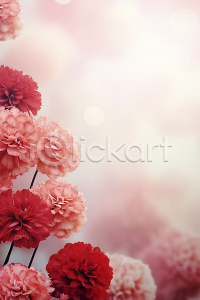 사람없음 JPG 디지털합성 편집이미지 꽃 백그라운드 봄 분홍색 자연
