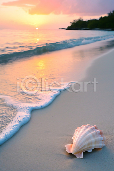 분위기 사람없음 JPG 편집이미지 포토 구름(자연) 분홍색 조개 태양 풍경(경치) 하늘 해변 휴양지