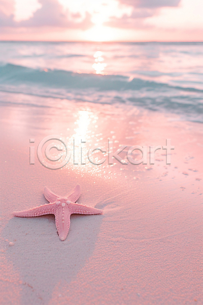 분위기 사람없음 JPG 편집이미지 포토 구름(자연) 분홍색 불가사리 풍경(경치) 하늘 해변 휴양지