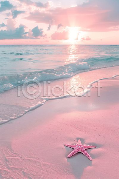 분위기 사람없음 JPG 편집이미지 구름(자연) 분홍색 불가사리 태양 풍경(경치) 하늘 해변 휴양지
