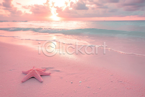 분위기 사람없음 JPG 편집이미지 구름(자연) 분홍색 불가사리 풍경(경치) 하늘 해변 휴양지