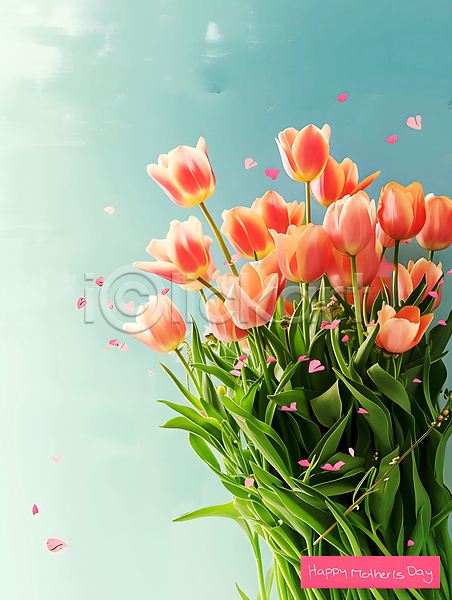 행복 사람없음 PSD 디지털합성 편집이미지 꽃 꽃다발 봄 선물 어버이날 자연 튤립 편집소스 하늘