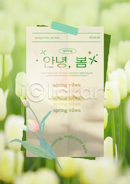 사람없음 PSD 템플릿 꽃 디자인 마스킹테이프 메시지 봄 종이 초록색 카드(감사) 타이포그라피 테이프 튤립 편지 편집 화사함