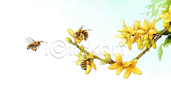 사람없음 PSD 일러스트 개나리 꿀벌 나뭇가지 번짐 봄 세마리 잎 풀(식물) 화초