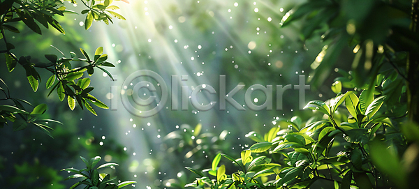 분위기 사람없음 JPG 디지털합성 편집이미지 나무 나뭇잎 숲 자연 풍경(경치) 햇빛 환경