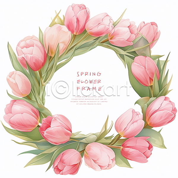 사람없음 PSD 일러스트 디자인 봄 분홍색 잎 장식 튤립 프레임