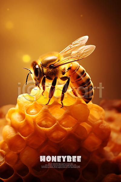 사람없음 PSD 편집이미지 꿀벌 노란색 백그라운드 벌꿀 벌집 양봉 타이포그라피