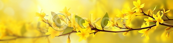 따뜻함 사람없음 JPG 편집이미지 개나리 꽃봉오리 나뭇가지 노란색 배너 백그라운드 봄꽃 싱그러움 야외 잎 자연 햇빛 현수막