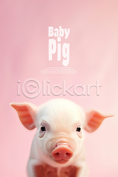 사람없음 PSD 편집이미지 동물 돼지 분홍색 아기돼지 카피스페이스 한마리
