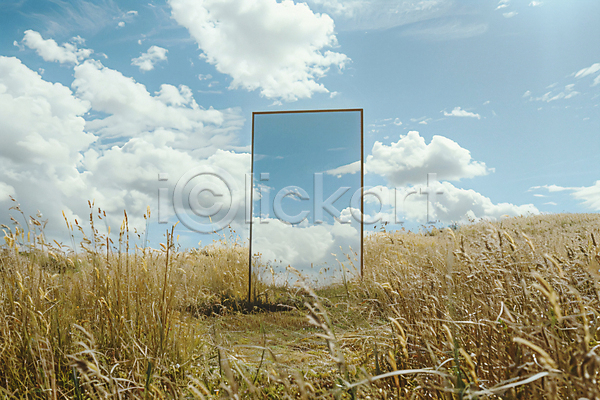 사람없음 JPG 디지털합성 편집이미지 갈대(식물) 거울 계절 구름(자연) 반사 숲 자연 풀(식물) 풍경(경치) 하늘