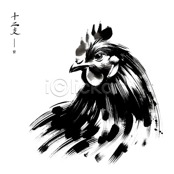 사람없음 PSD 일러스트 검은색 닭 동양화 붓터치 수묵화 십이지신 아시아 예술 전통 한마리
