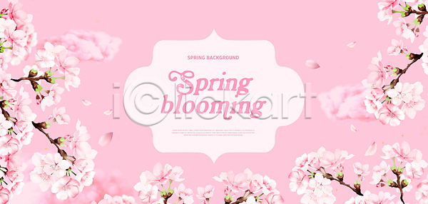 사람없음 PSD 편집이미지 꽃잎 나뭇가지 백그라운드 벚꽃 봄 분홍색 프레임