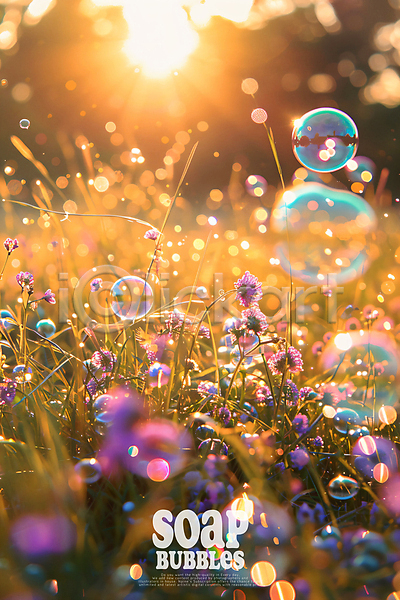 사람없음 PSD 편집이미지 꽃 노을 백그라운드 보케 비눗방울 잔디 풀(식물) 햇빛