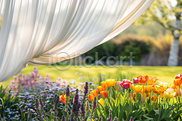 분위기 사람없음 JPG 디지털합성 편집이미지 꽃 나무 백그라운드 봄 자연 잔디 정원 천(직물) 햇빛