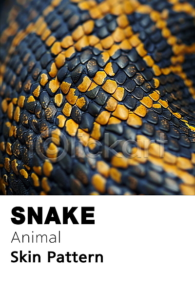 사람없음 PSD 디지털합성 편집이미지 가죽 검은색 동물 무늬 백그라운드 뱀 뱀가죽 비늘 질감 파란색 파충류 패턴 편집소스