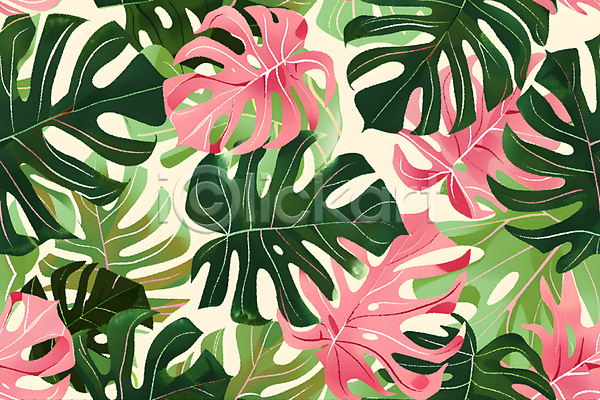 사람없음 JPG 편집이미지 몬스테라 백그라운드 분홍색 열대식물 잎 초록색