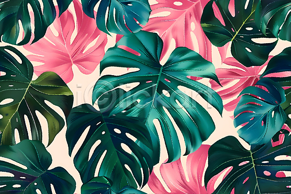 사람없음 JPG 편집이미지 몬스테라 백그라운드 분홍색 열대식물 잎 초록색