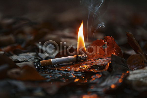 사람없음 JPG 디지털합성 편집이미지 낙엽 담배꽁초 방화 불 산 산불 숲 연기 재해