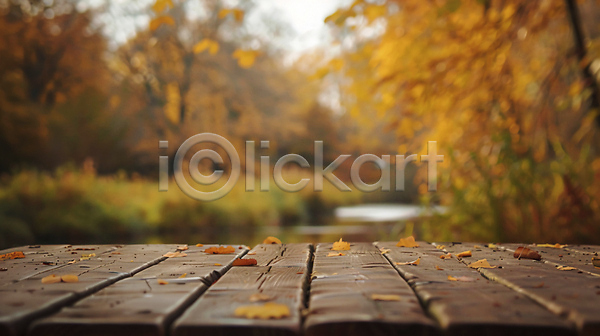 분위기 사람없음 JPG 디지털합성 편집이미지 가을(계절) 강 나무 낙엽 선반 주황색 편집소스