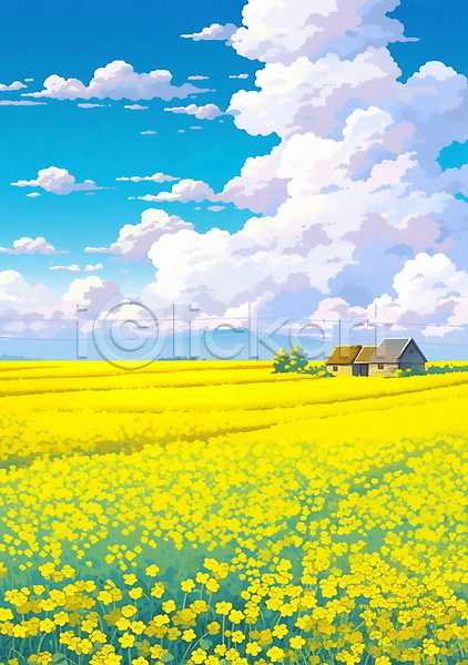 사람없음 JPG 일러스트 구름(자연) 꽃밭 노란색 백그라운드 봄 유채 전선 제주도 주택 풍경(경치) 하늘