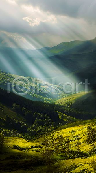 사람없음 JPG 편집이미지 구름(자연) 나무 빛 산 숲 자연 풍경(경치) 햇빛