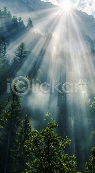 사람없음 JPG 편집이미지 구름(자연) 나무 빛 산 숲 안개 자연 풍경(경치) 햇빛