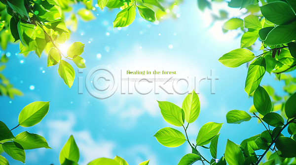 사람없음 PSD 편집이미지 구름(자연) 나무 나뭇잎 맑음 백그라운드 봄 자연 초록색 카피스페이스 하늘 햇빛 힐링
