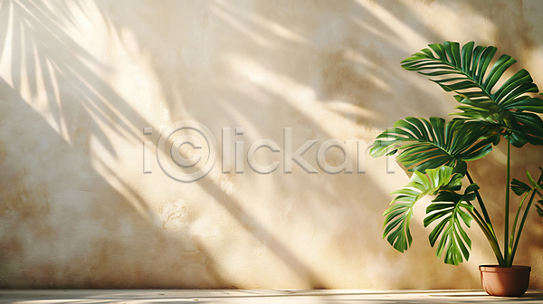 사람없음 JPG 디지털합성 편집이미지 그림자 몬스테라 백그라운드 베이지색 벽 실내 잎 초록색 카피스페이스 편집소스 햇빛 화분 휴식처