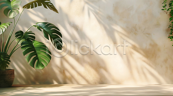 사람없음 JPG 디지털합성 편집이미지 그림자 몬스테라 백그라운드 베이지색 벽 실내 잎 초록색 카피스페이스 편집소스 햇빛 화분 휴식처