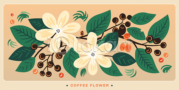 사람없음 AI(파일형식) 일러스트 꽃 꽃무늬 나뭇잎 노란색 원두 잎 초록색 카드(감사) 커피나무 커피열매 판화