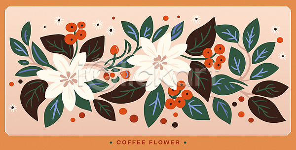 사람없음 AI(파일형식) 일러스트 꽃 꽃무늬 원두 잎 주황색 카드(감사) 커피나무 커피열매 판화
