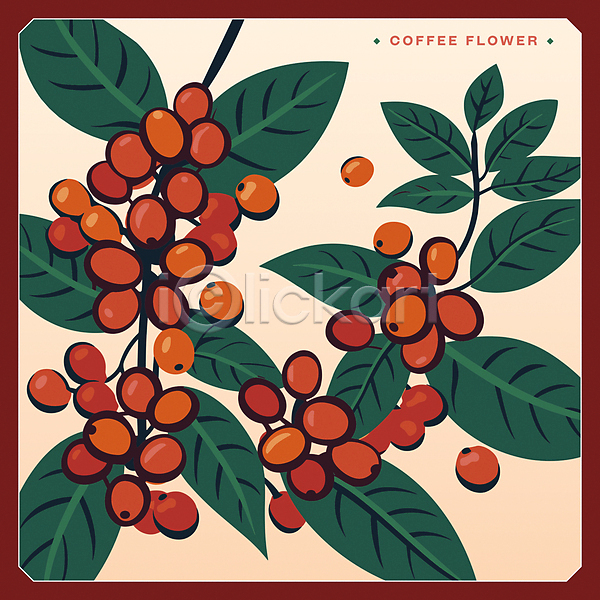 사람없음 AI(파일형식) 일러스트 원두 잎 주황색 초록색 카드(감사) 커피나무 커피열매 판화