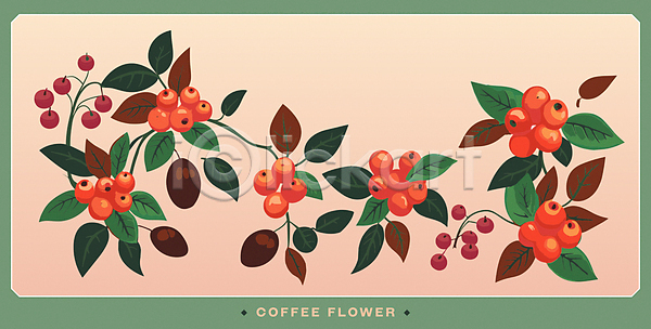 사람없음 AI(파일형식) 일러스트 원두 잎 주황색 초록색 카드(감사) 커피나무 커피열매 판화