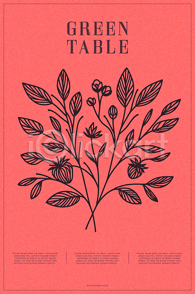 사람없음 AI(파일형식) 일러스트 꽃봉오리 백그라운드 빨간색 열매 예술 자연 장식 타이포그라피 포스터 풀잎