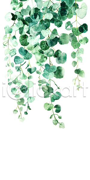 사람없음 JPG 일러스트 나뭇잎 담쟁이덩굴 백그라운드 수채화(물감) 자연 초록색 카피스페이스