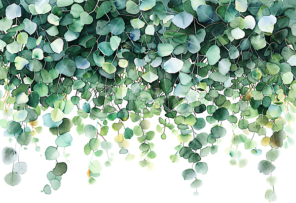 사람없음 JPG 일러스트 나뭇잎 담쟁이덩굴 백그라운드 수채화(물감) 자연 초록색 카피스페이스